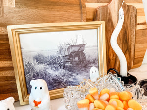 Framed Ghost Picture 2